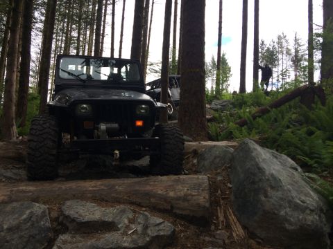 1995 Jeep Wrangler - A black Jeep Wrangler navigates a challenging off-road trail through a dense forest.