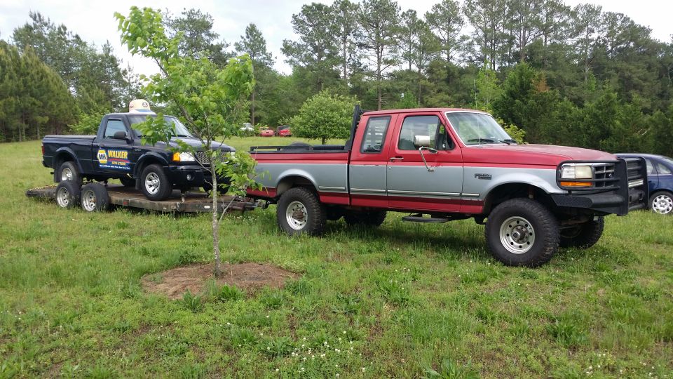 1995 Ford F-250 towing a black Ford Ranger on a trailer, parked in a grassy field