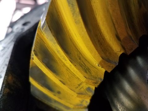 1995 Ford Bronco - Differential ring gear showing wear patterns and yellow coating.