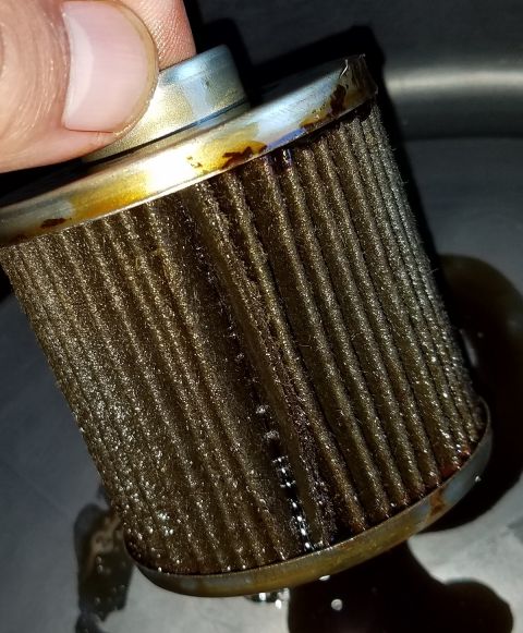 2000 Ford Crown Victoria - A dirty oil filter is held by a hand, showing signs of heavy use and oil residue.