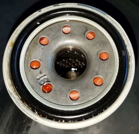 2000 Ford Crown Victoria - Close-up of an oil filter showing its internal components and visible markings.