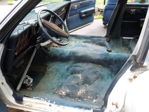 2001 Ford Crown Victoria - Interior view of a car showing the dashboard, steering wheel, and blue carpet.
