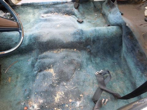 2001 Ford Crown Victoria - Car interior floor showing blue carpet and debris, with part of the steering wheel visible.