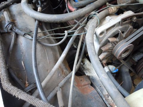 2001 Ford Crown Victoria - Close-up view of a cluttered engine bay with various hoses and wiring components.