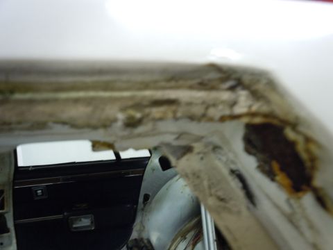 2001 Ford Crown Victoria - Close-up view of a vehicle's interior door panel and the damaged, rusted edge of the roofline.