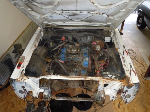 2001 Ford Crown Victoria - The engine bay of a car is open, revealing the engine and various mechanical components.