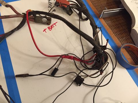2001 Ford Crown Victoria - A close-up view of an automotive wiring harness, showing various connectors and wires.