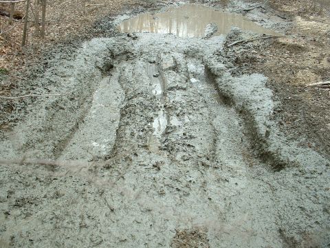 1987 Ford Bronco - A challenging muddy trail with significant tire tracks and a water puddle, suggesting off-road activity.