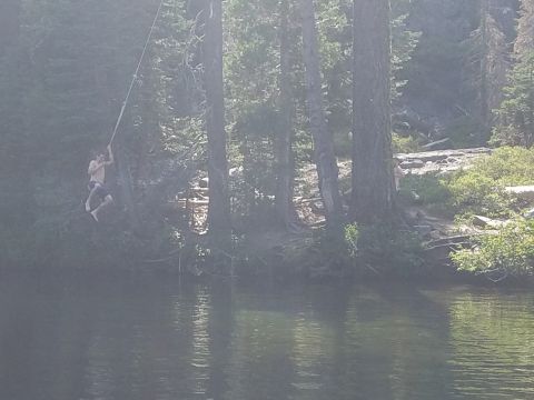 1968 Ford Bronco - A hazy scene shows a reflection in the water, with trees visible in the background.