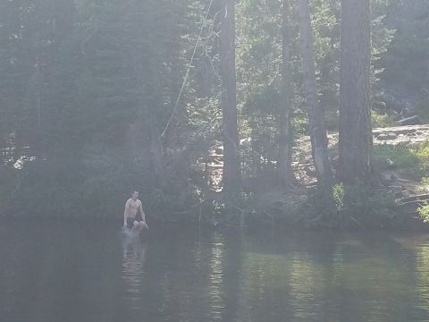 1968 Ford Bronco - A foggy scene with reflections on the water, obscuring any details.