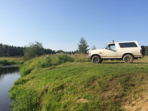 1993 Ford Bronco - A white Ford Bronco is parked on a grassy hill next to a calm river with a forest in the background under a clear blue sky.