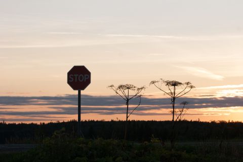 1993 Ford Bronco - A stop sign is silhouetted against a sunset sky, with dry plants in the foreground and a dark forest in the background.