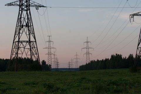 1993 Ford Bronco - A line of high-voltage electricity pylons stretch across a grassy field towards a forest under a pale sky.
