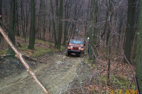 1986 Ford Bronco - Dave Stuck after the root