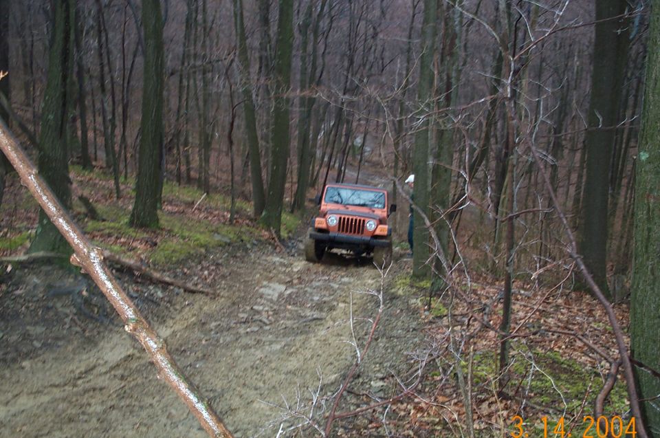 Dave Stuck after the root