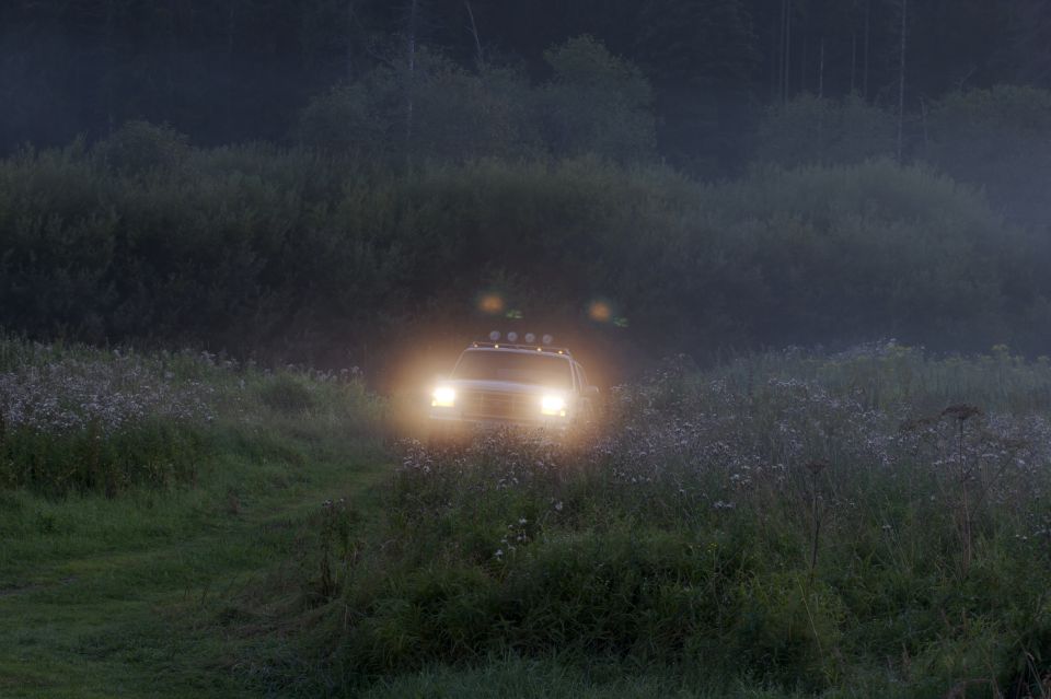 White Ford Bronco with headlights on driving through a grassy field at dusk.