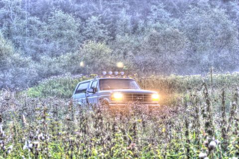 1993 Ford Bronco - A blue Ford Bronco is parked in a field of tall grass and wildflowers, with its headlights on. Four auxiliary lights are mounted on the roo…