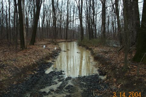 1986 Ford Bronco - Big Puddle