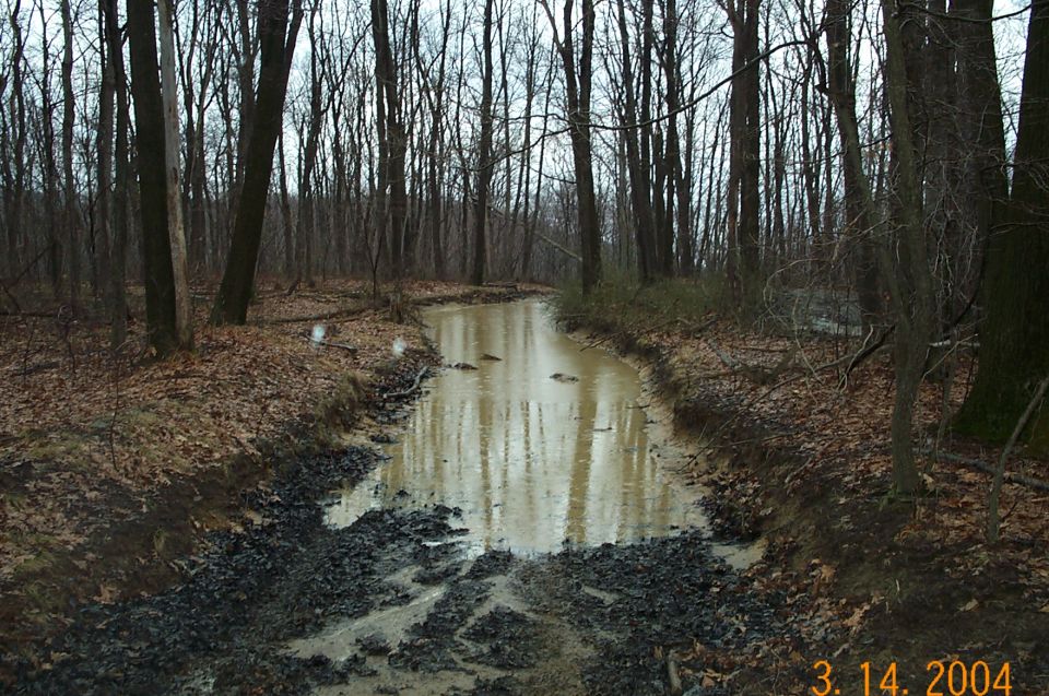 Muddy water-filled ruts in a dirt trail through bare winter woods
