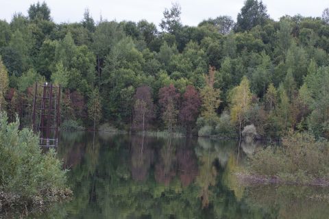 1993 Ford Bronco - A lake reflects a dense forest and an old industrial metal structure on its bank.