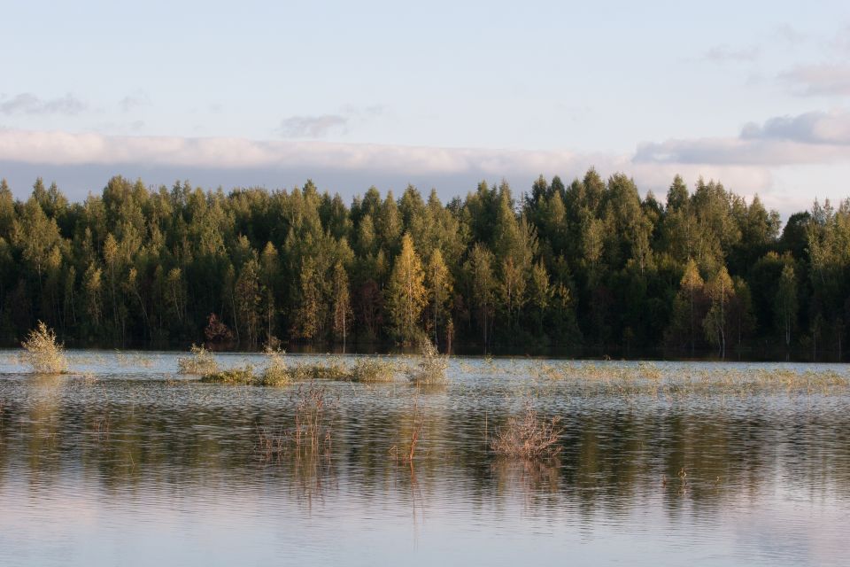 Water reflects trees under a cloudy sky