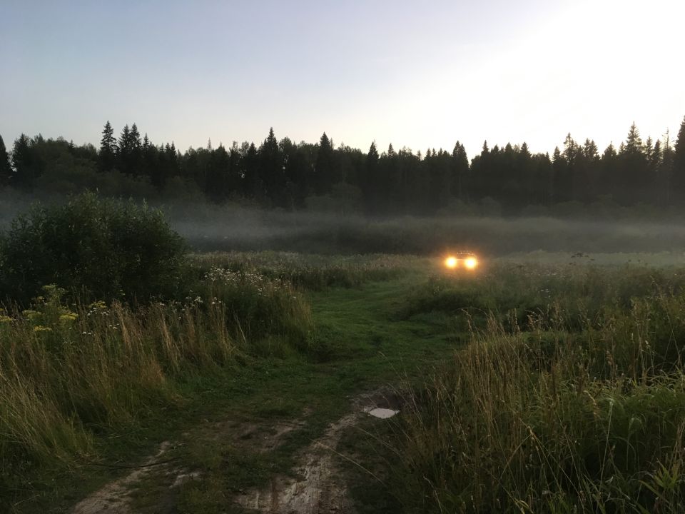 Vehicle headlights visible in a foggy field with trees in the background