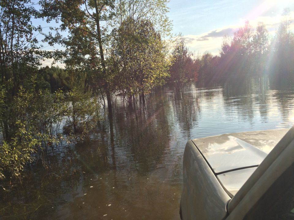 Light-colored vehicle hood and fender in foreground, partially submerged in floodwaters with trees