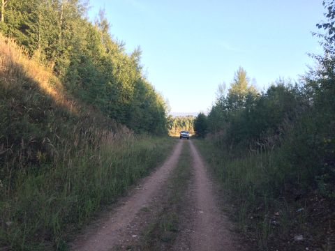 1993 Ford Bronco - A lone white SUV travels down a dirt road surrounded by dense trees and foliage under a clear blue sky.
