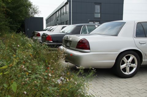 2003 Mercury Marauder “Eurorauder”