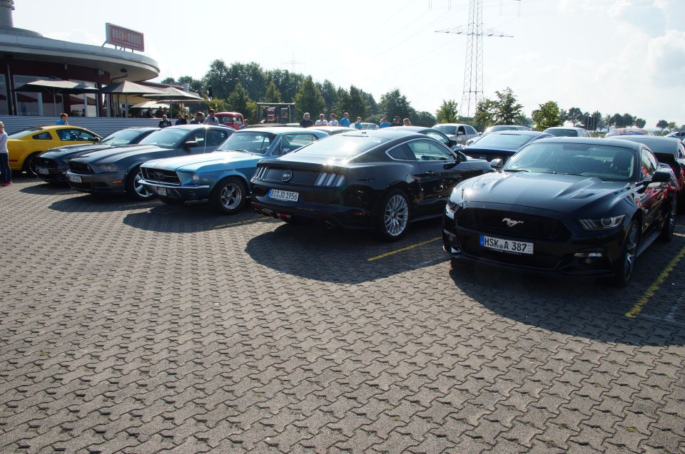 Several Ford Mustangs parked in a lot, including a black S550 model in the foreground