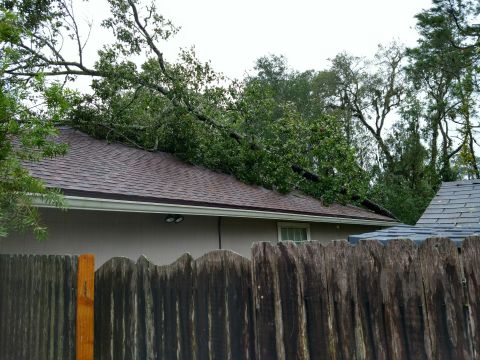 1992 Ford Bronco - Fallen tree branches cover the roof of a house, indicating storm damage.