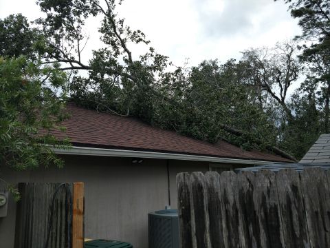 1992 Ford Bronco - Tree branches have fallen onto a house roof, likely due to severe weather.