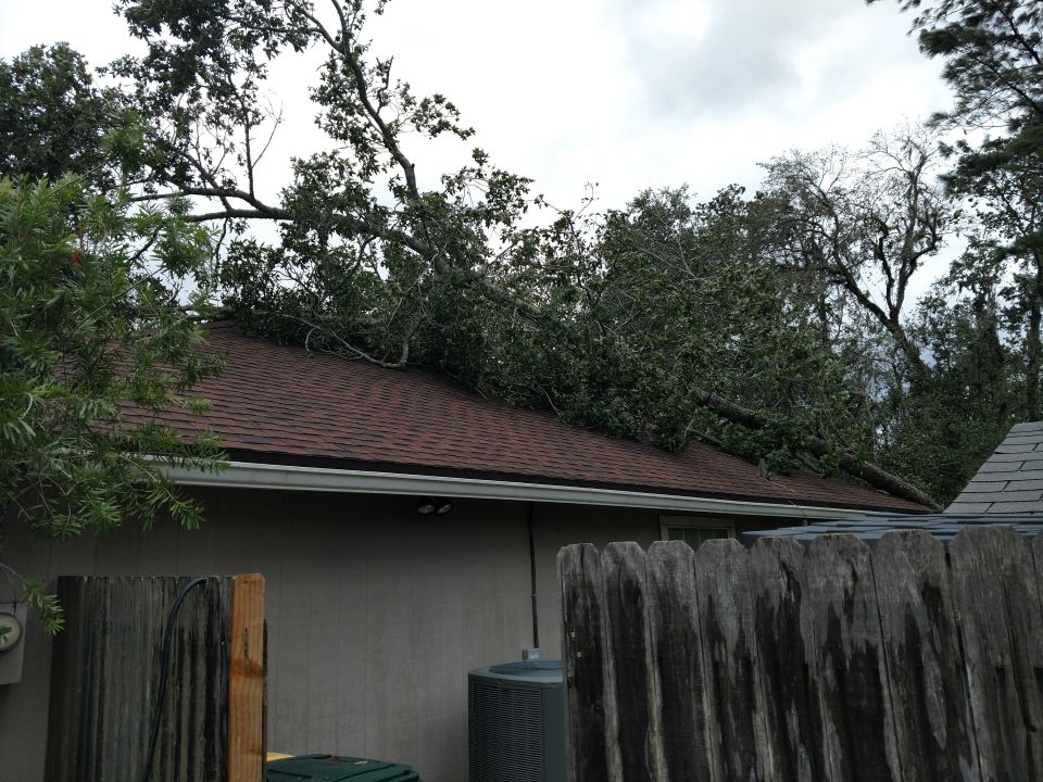 Fallen tree branches resting on a residential roof after a storm