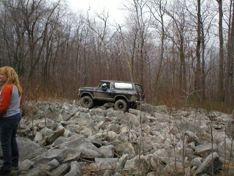 1978 Ford Bronco photo