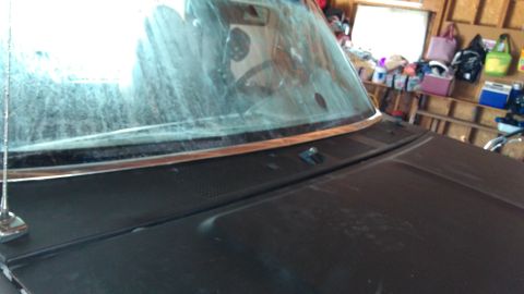 1996 Ford Bronco - Front view of a car's hood and windshield, showing an antenna and interior details.