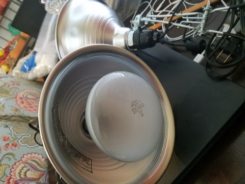 1994 Ford Bronco - A heat lamp with a Sylvania infrared bulb is shown, with its ribbed interior and electrical cord visible.