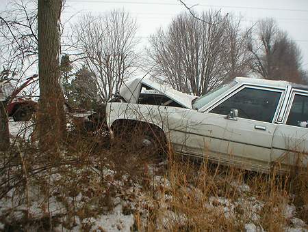 1989 Ford Crown Victoria - A white sedan is off the road and has collided with a tree, with its hood open.