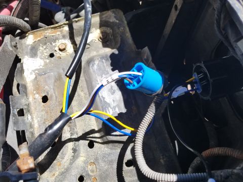 1994 Ford Bronco - Wiring harness connector for a vehicle's headlight system.