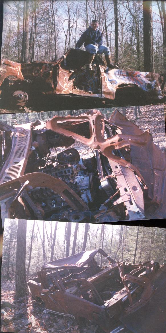 Burnt-out vehicle in woods, viewed from side and top. A person sits on the roof