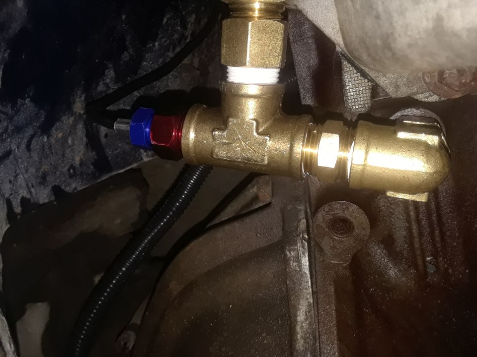 Brass T-fitting with blue and red connectors attached to black hose and other plumbing