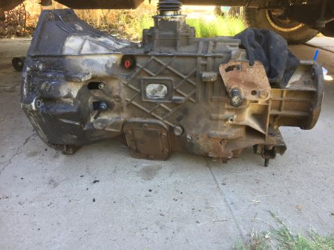1986 Ford Bronco - Zf5