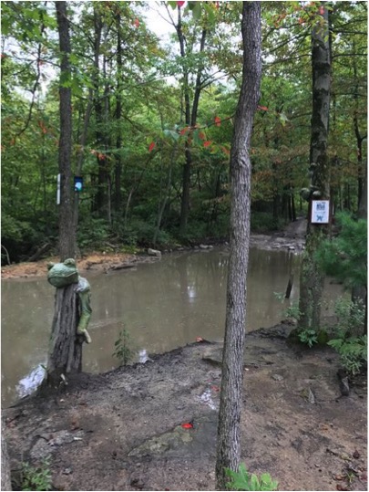 1989 Ford Bronco - A muddy scene in a wooded area features a frog statue near a body of water.