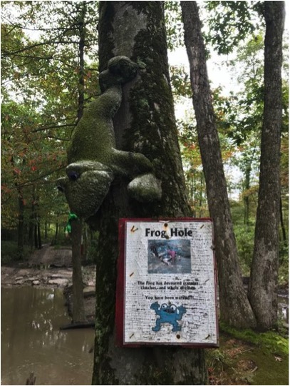 1989 Ford Bronco - A peculiar moss-covered sculpture is attached to a tree near a muddy area, with a sign indicating 'Frog Hole'.