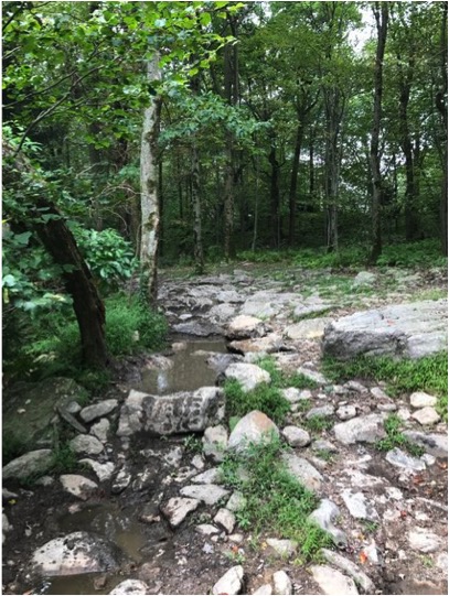 1989 Ford Bronco - This off-road trail is covered in rocks and has several muddy puddles, indicating a challenging path through the woods.