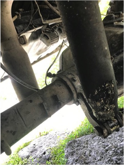 1989 Ford Bronco - Close-up view of the undercarriage of a vehicle, focusing on mechanical parts.