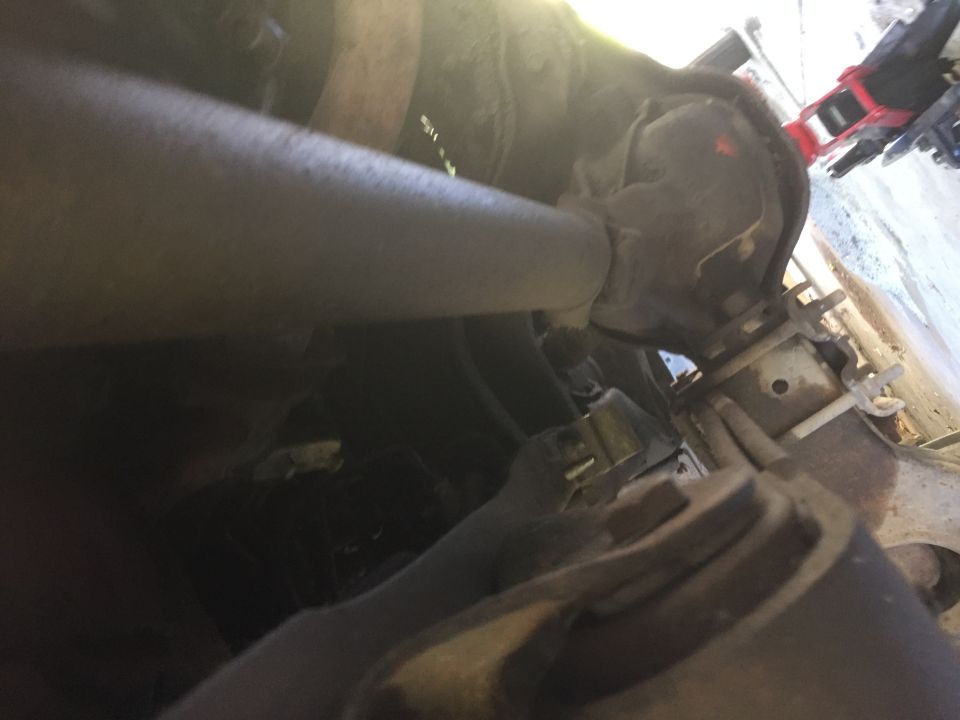 Driveshaft and differential assembly