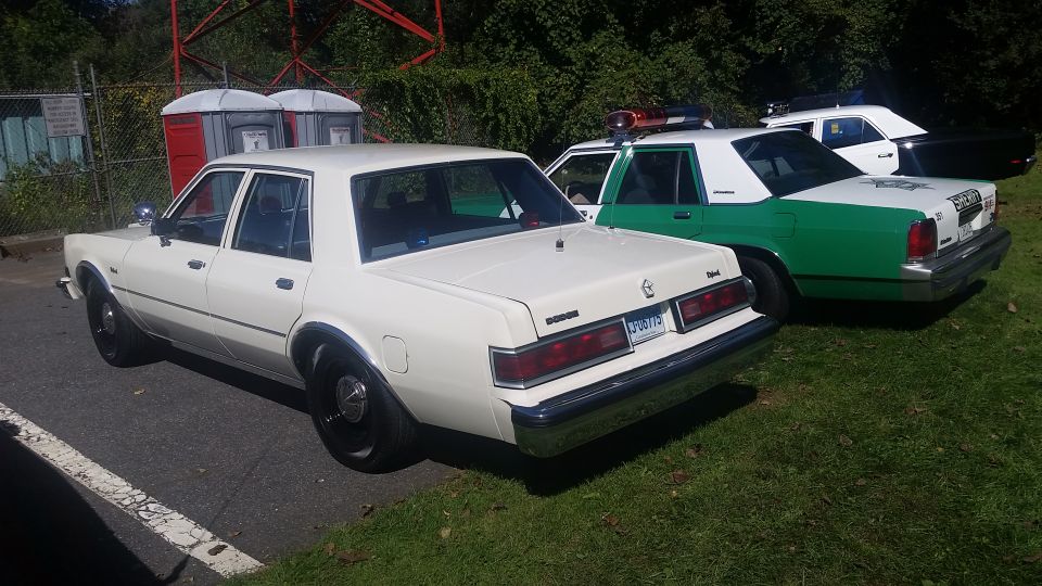 Three police cars parked on grass and asphalt. The closest is white with black wheels. The middle car is green and white with a light bar. The furthest car is white