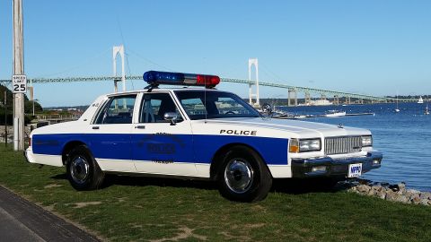 1991 Ford LTD Crown Victoria - A police car with a light bar is parked on a grassy area next to the water, with a large bridge visible in the distance.
