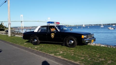 1991 Ford LTD Crown Victoria - A police car with a dog behind the wheel sits by the water, with a bridge in the background.