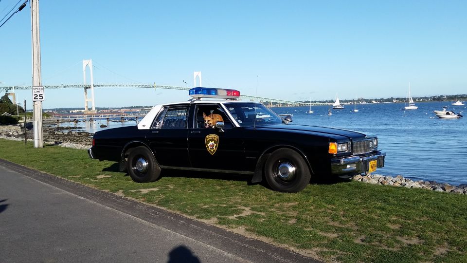 Black and white police car parked by the water, dog in driver's seat, red and blue lights on roof